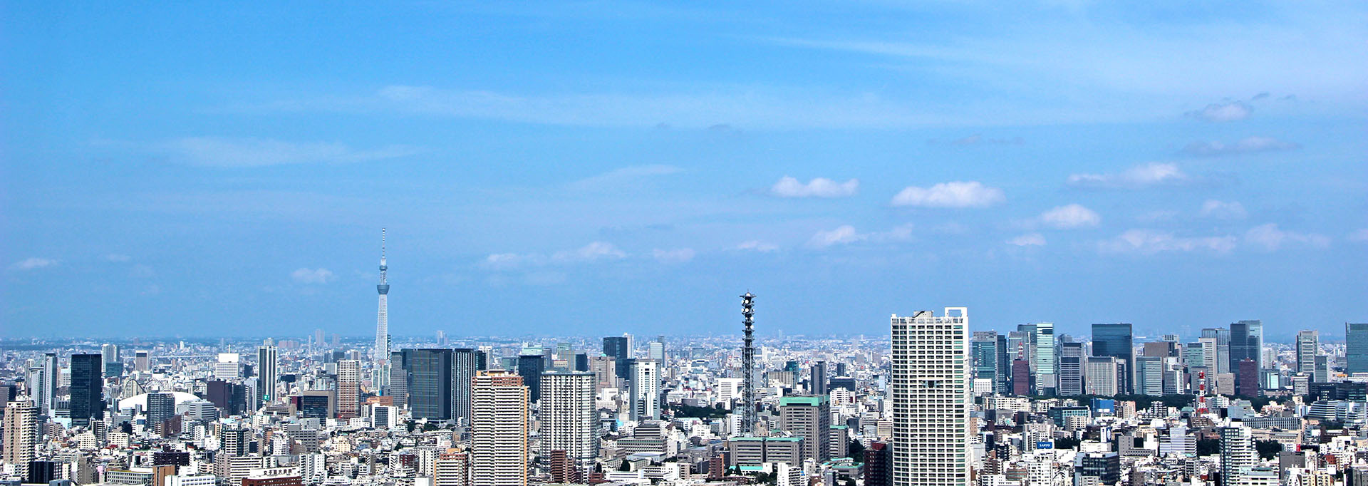 メインイメージ1